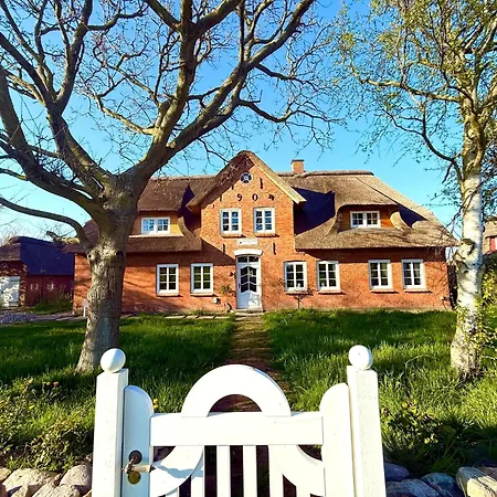 Det Danske Hus - Backbord Dunsum