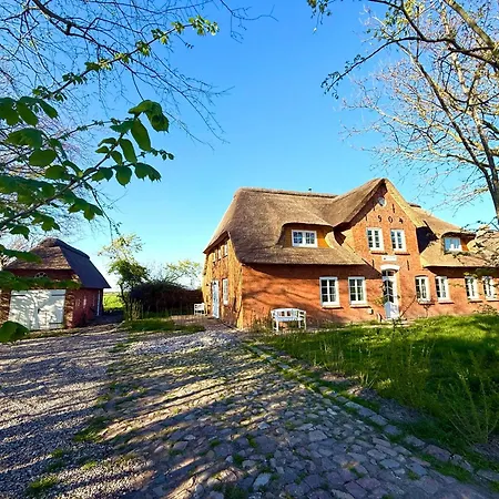 Det Danske Hus - Backbord * Dunsum